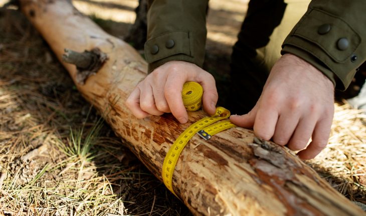 Ce este un metru ster de lemn și cum se calculează?