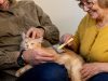 Beneficiile interacțiunii cu animale pentru persoanele în vârstă